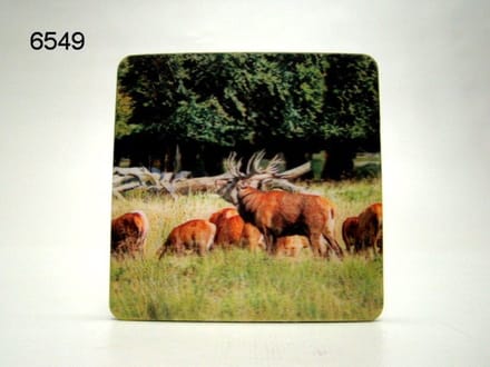 3D Onderzetter - Edelhert - 8,5 x 8,5 cm - Diepte Effect - Per Stuk