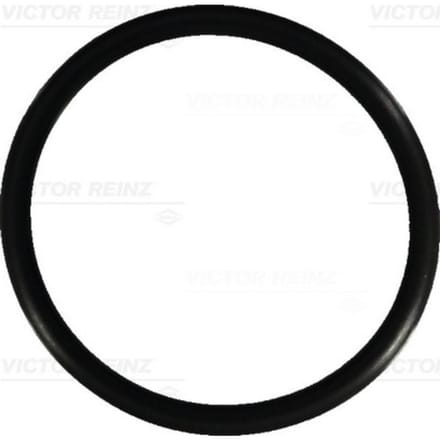 Victor Reinz Dichtingsring REINZ 40-76101-00