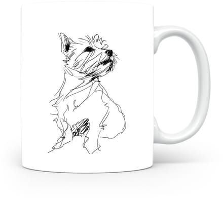 Beker Norwich Terrier