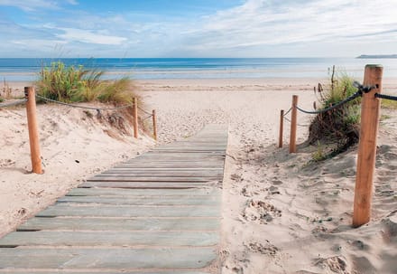 Fotobehang Path Beach Sand Nature | XL - 208cm x 146cm | 130g/m2 Vlies