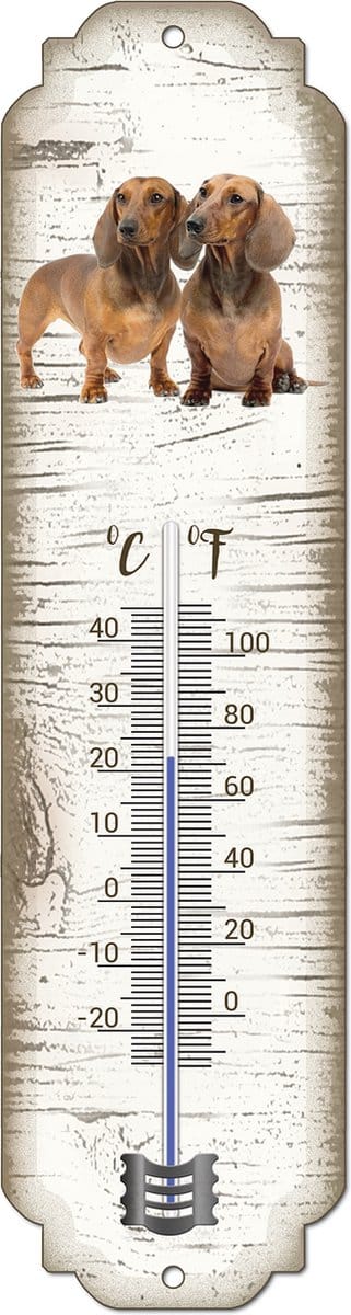 Thermometer: Tekkel | Hondenras | Temperatuur binnen en buiten | -25 tot +45C
