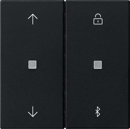Gira Systeem 3000 Intelligent Controle Element - 5367005 - E2YD9