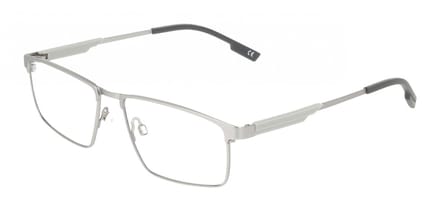 Flexon FLEXON E1164 Satin silver 54/15/145 MAN Brilmonturen