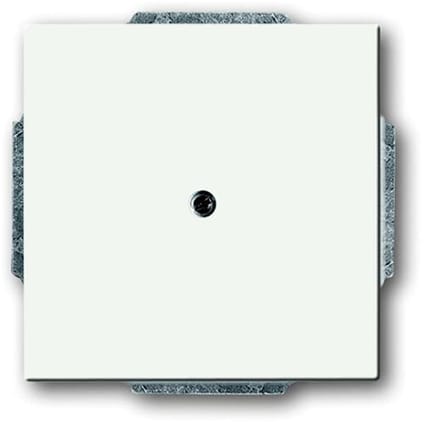 ABB Busch-Jaeger toekomstig Bedieningselement/Centrale Plaat Schakelmateriaal - 2CKA001710A3873 - E2Q9C