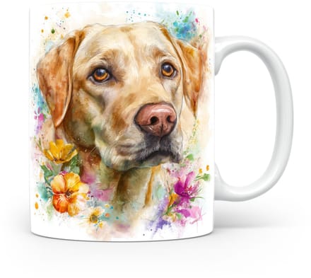 Beker Labrador retriever