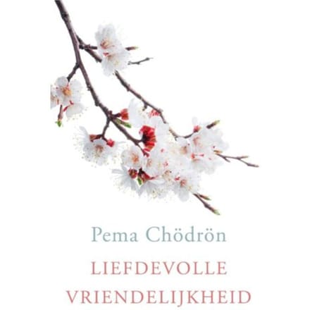Liefdevolle Vriendelijkheid - Pema Chödrön