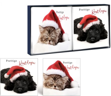 Kerstkaarten - 16 Stuks - 13 x 13 cm – Luxe Kaarten - Prettige Kerstdagen – K-148