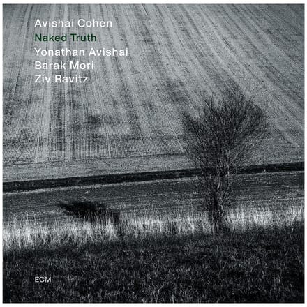 Avishai Cohen, Yonathan Avishai, Ziv Ravitz, Barak Mori - Naked Truth (LP)