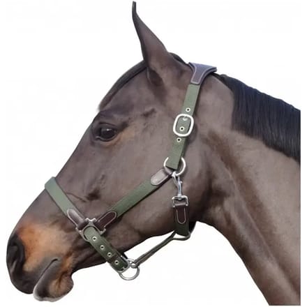 Halster voor paarden nylon/leer Flags&Cup