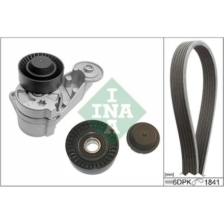 Schaeffler Ina V-snaar set (met rollen) INA 529 0480 10