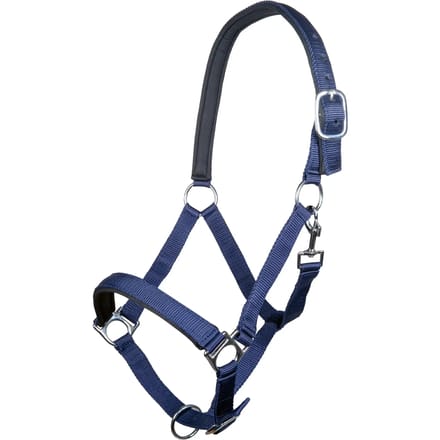 Halster voor paarden HKM Stars
