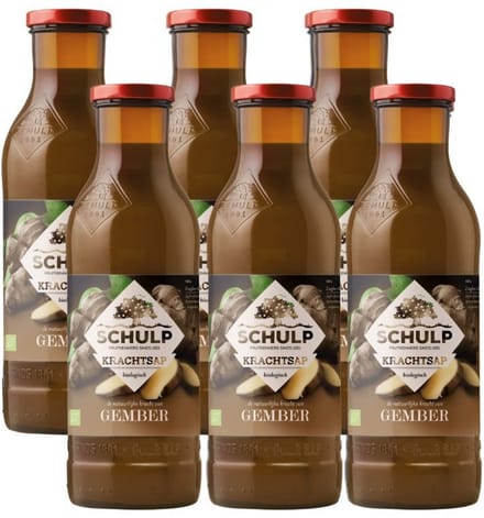 Schulp Krachtsap Gember Bio 6 Pack (6 x 750 ml)