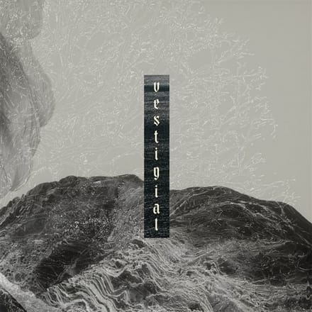 Vestigial - Descending Vastness (CD)