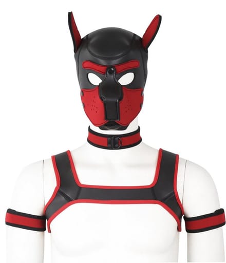 Dog/Puppy Neopreen-Set Diablo Rood