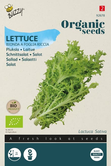 Pluksla Bionda a Foglia Riccia BIO Zaden