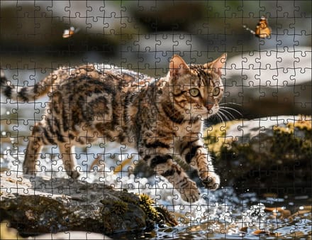 Puzzel Bengaalse kat in het water | 252 stukjes | Dierenpuzzel | Kattenpuzzel