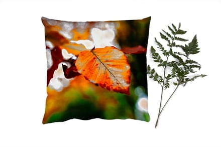 Sierkussens - Kussentjes Woonkamer - 60x60 cm - Beuk - Herfst - Bladeren
