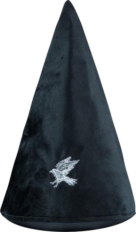 Ravenclaw student hoed