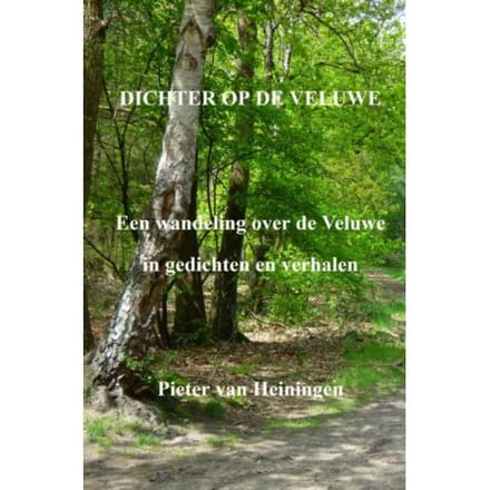 Dichter Op De Veluwe - Pieter van Heiningen