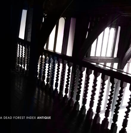 A Dead Forest Index - Antique (CD)