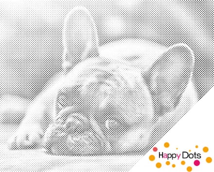 HappyDots DOT Painting Bulldog 30x40cm - Stippelschilderij