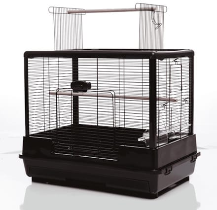 @Pet Vogelkooi Ceasar L Zwart