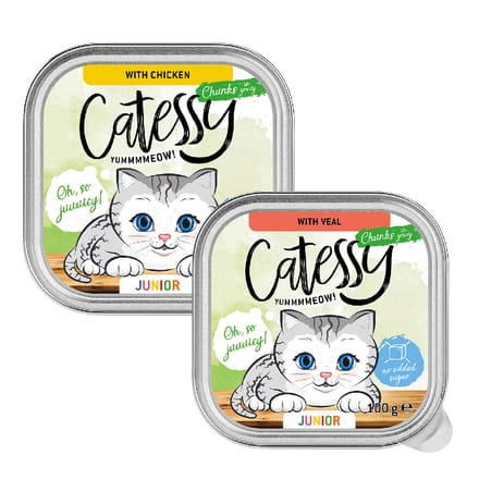 32x 100g Catessy Junior Hapjes in Saus Mix (2 soorten) nat kattenvoer