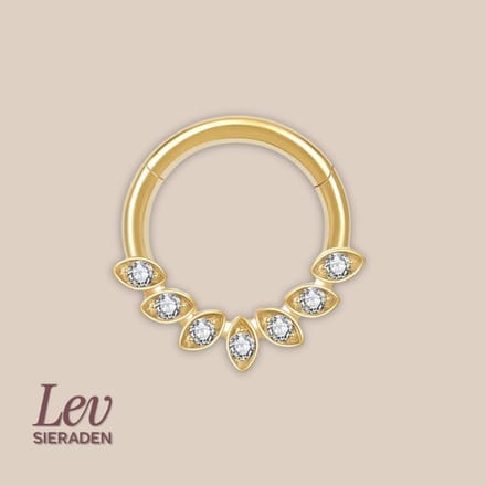 Lev Sieraden - Titanium premium neus ring - 7 eyes zirkonia segment ring - 1.2x8mm - Goud - segment ring - neuspiercing - tragus piercing - Oorpiercing