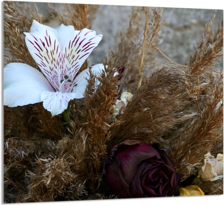 TMK ArtDeko - Snijplank Glas - Orchidee - 65x60 cm - Veelkleurig