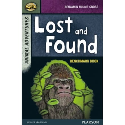 Rapid Stage 7 Assessment Book: Lost And Found - Rapid - Reid, Dee