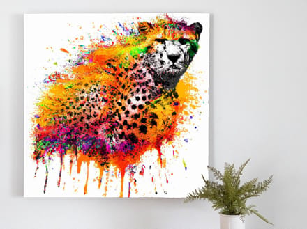 I am speed | I am speed | Kunst - 30x30 centimeter op Canvas | Foto op Canvas