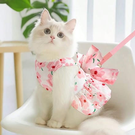 Huisdier Katje/Puppy Prinsessenstijl Riem Jurk, Geschikt voor Munchkin, Ragdoll, Schotse Vouw, Poedel, Samojeed, met Bevestigd Riem S roze