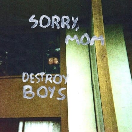 Destroy Boys - Sorry, Mom (LP)