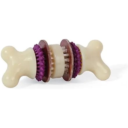 Kauwspeeltje voor honden PetSafe Bristle Bone