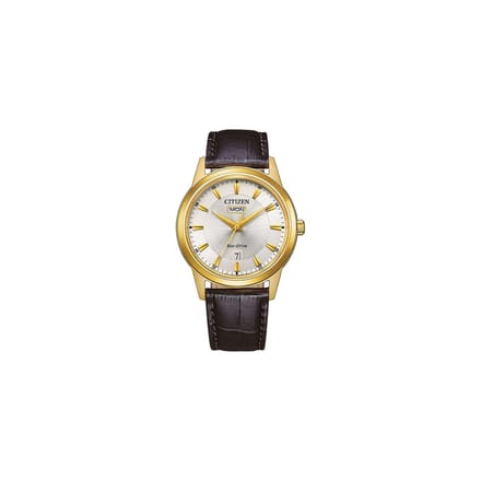 Citizen  AW0102-13AE Horloge - Leer - Bruin - Ø 40 mm