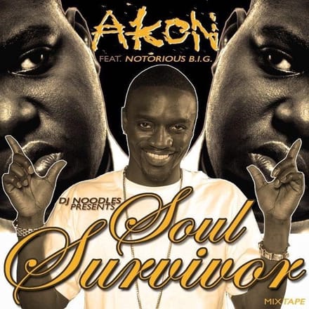 Akon - Soul Survivor (CD)
