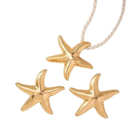 Zeester / Starfish Set - Ketting + Oorbellen | Goudkleurig | Bijoux/Messing
