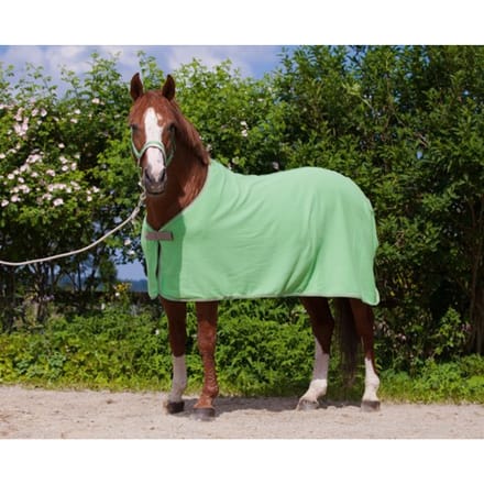 Kerbl Paardendeken Economic - groen - 135 cm