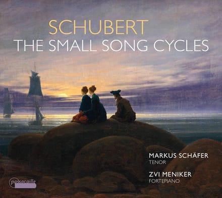 Markus Schäfer & Zvi Meniker - The Small Song Cycles (CD)