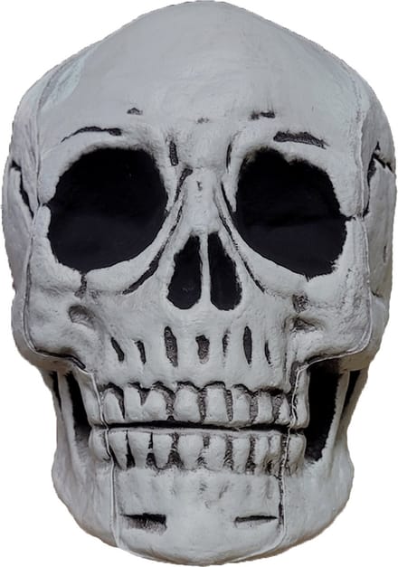 Fjesta© Halloween schedel - 20cm x 27cm x 22cm