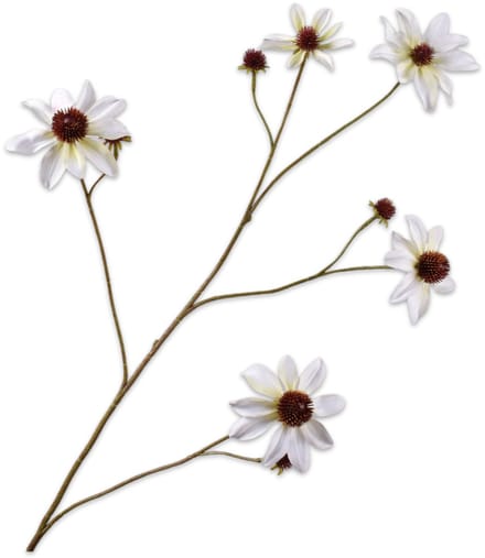 Silk-ka Kunstbloem-Zijden Bloem Rudbeckia Tak Wit 91 cm