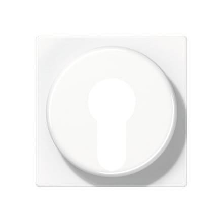 Jung AS500 Schakelelement/Centrale Plaat - A528PLWW - E32PW