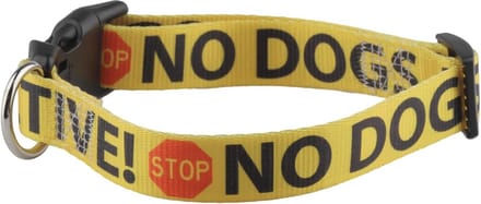 Halsband voor Reactieve Honden | Sterke en Comfortabele Polyester Halsband