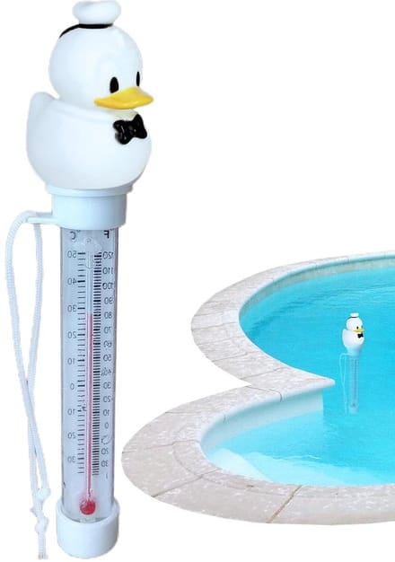 Drijvende thermometer - Water temperatuurmeter - Waterkwaliteit meten - Groot meetbereik - 21 Centimeter - Meerdere kleuren