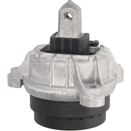 Motorsteun REINHOCH RH11-3080 Links