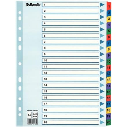 Esselte Index A4 - 1-20 Tabs - Karton met Mylar Versterkt - 11-gaats - Meerkleurig