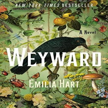 Weyward door Emilia Hart Hardback Boek 9781250280800