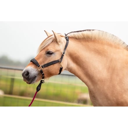 Leren halster voor paarden Edix Saddles Kaily