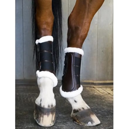 Dressuurlaarzen voor paarden T de T "Training 22"