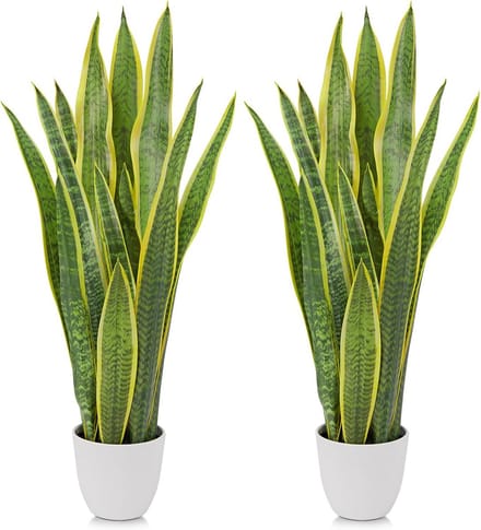 Omgoods - Set van 2 Kunstplanten, Slangenplant 73 cm